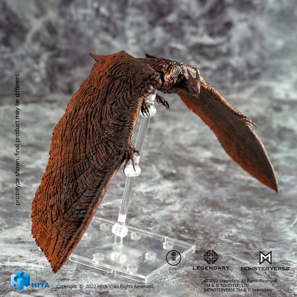 H&O サメ RODAN H&O サメRODAN - メルカリ