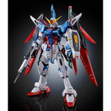 gunpla RG  DESTINY GUNDAM[TITANIUM FINISH]