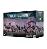Warhammer Emperor's Children: Tormentors