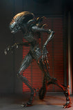 Action Figure Neca Ultimate Scorched Xenomorph