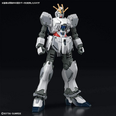 gunpla HG #218 Narrative Gundam A-Packs